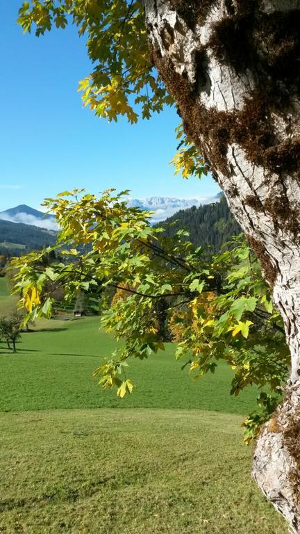 Apartment Lehengut Eben Im Pongau Εξωτερικό φωτογραφία
